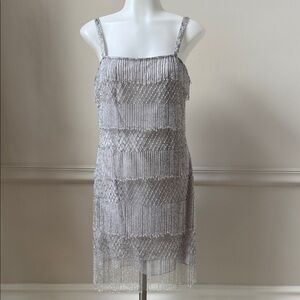 Black Label Silver Beaded Fringe Mini Dress